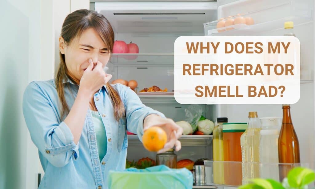 Why Does My Refrigerator Smell Bad (Top Reasons, Fixes)