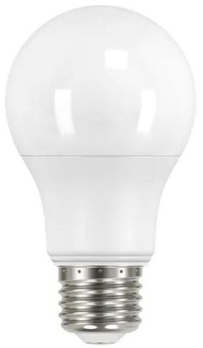 A19 Light Bulb